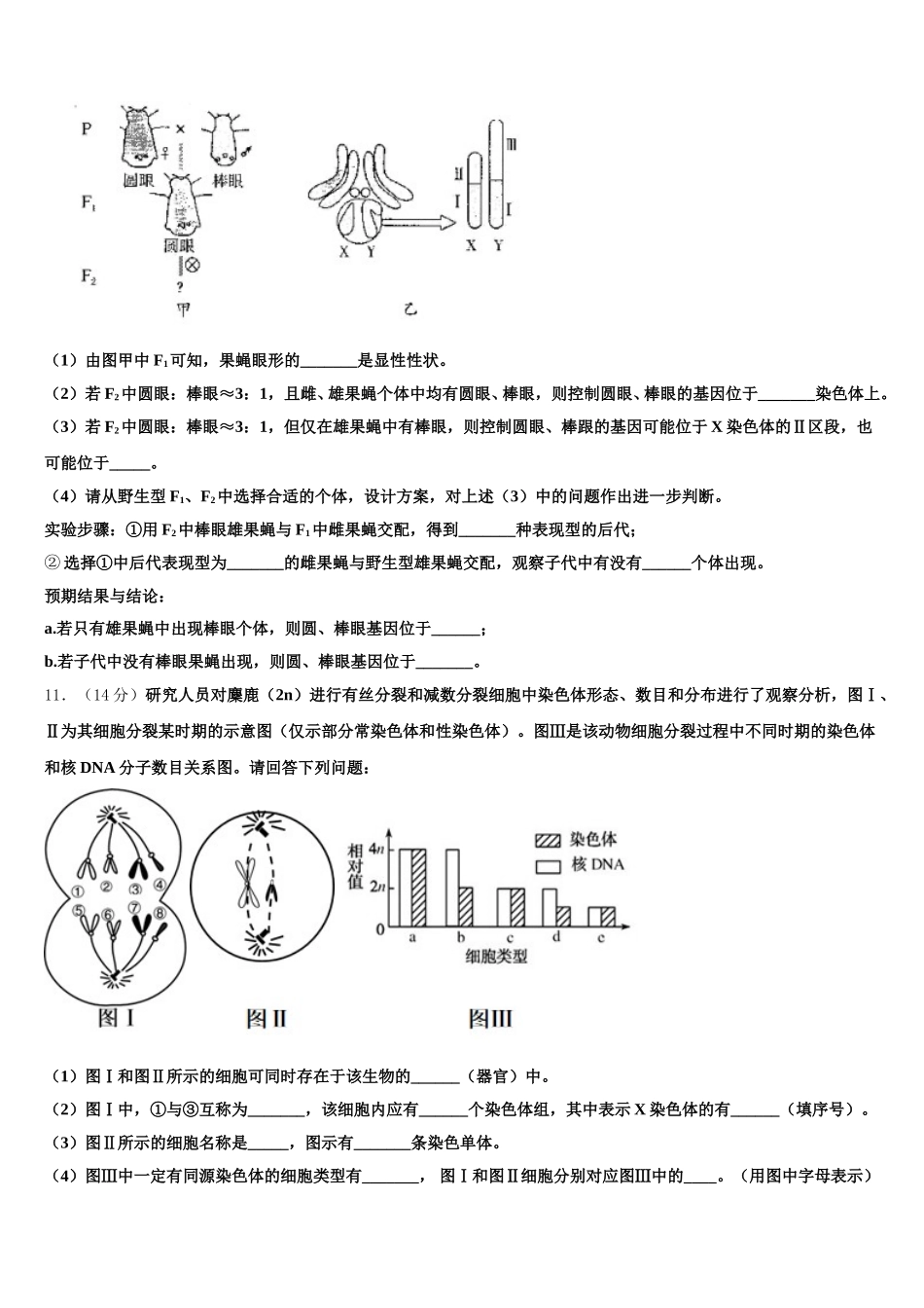 2024-2025学年安徽省毛坦厂中学生物高一下期末学业质量监测试题含解析_第3页