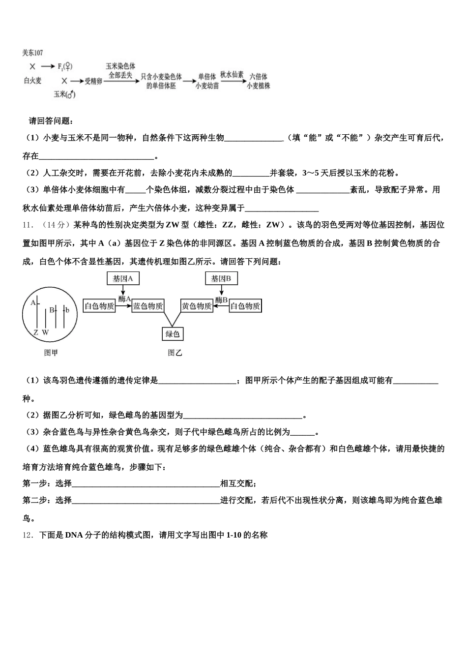 2025年安徽省马鞍山中加双语学校 高一生物第二学期期末复习检测试题含解析_第3页