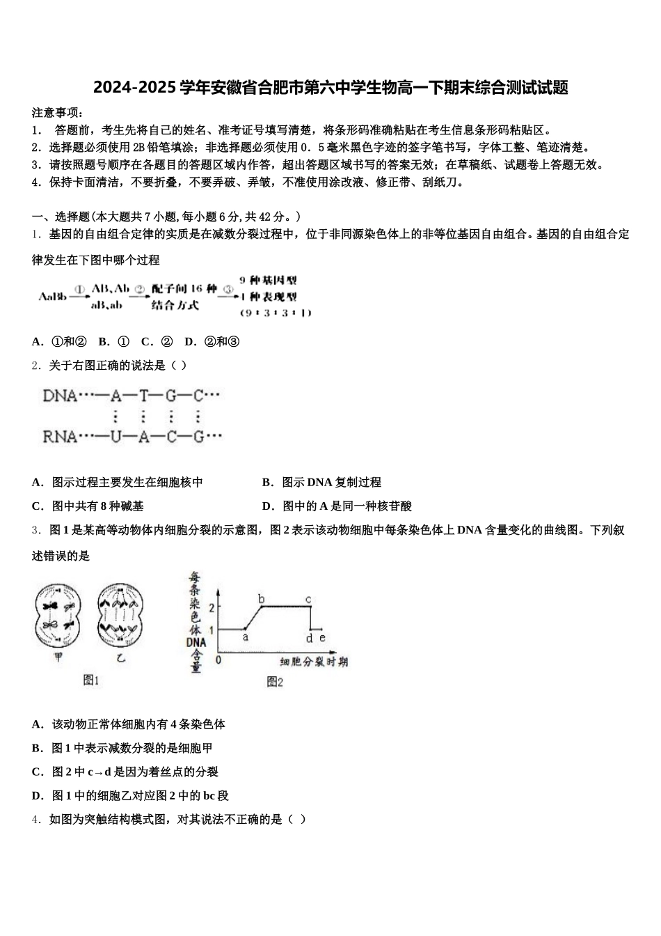 2024-2025学年安徽省合肥市第六中学生物高一下期末综合测试试题含解析_第1页
