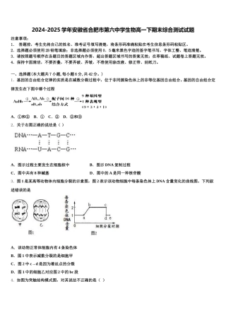 2024-2025学年安徽省合肥市第六中学生物高一下期末综合测试试题含解析