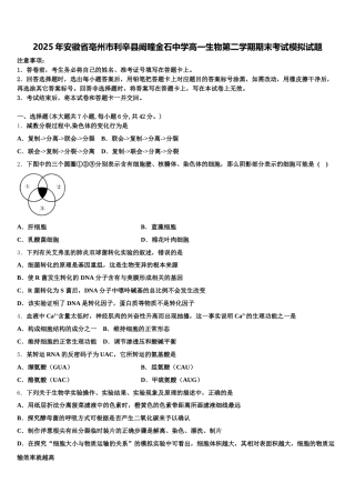 2025年安徽省亳州市利辛县阚疃金石中学高一生物第二学期期末考试模拟试题含解析