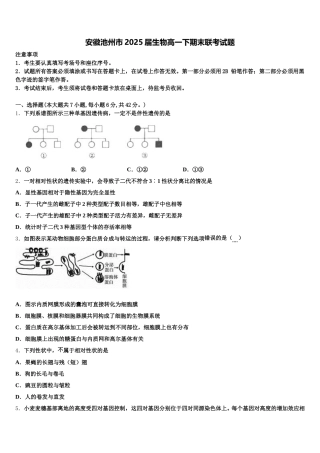 安徽池州市2025届生物高一下期末联考试题含解析