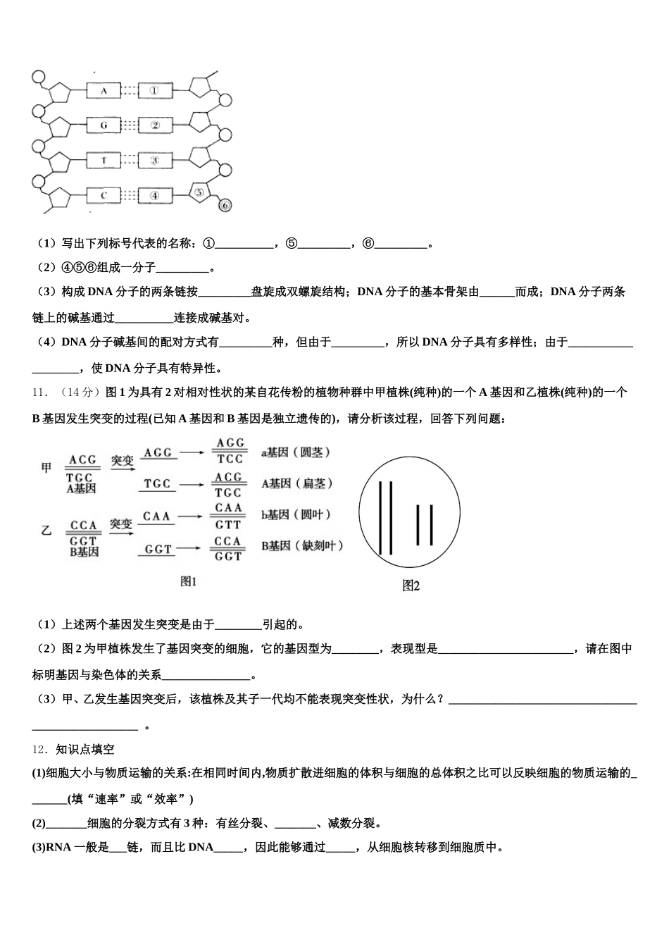 2025届铜陵市第一中学高一下生物期末复习检测模拟试题含解析_第3页