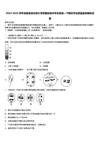 2024-2025学年安徽省淮北师大学附属实验中学生物高一下期末学业质量监测模拟试题含解析