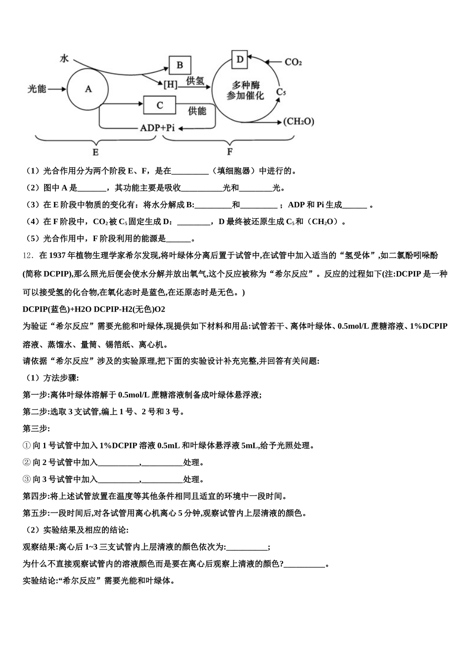 2025年安徽省宿州市褚兰中学高一下生物期末调研试题含解析_第3页