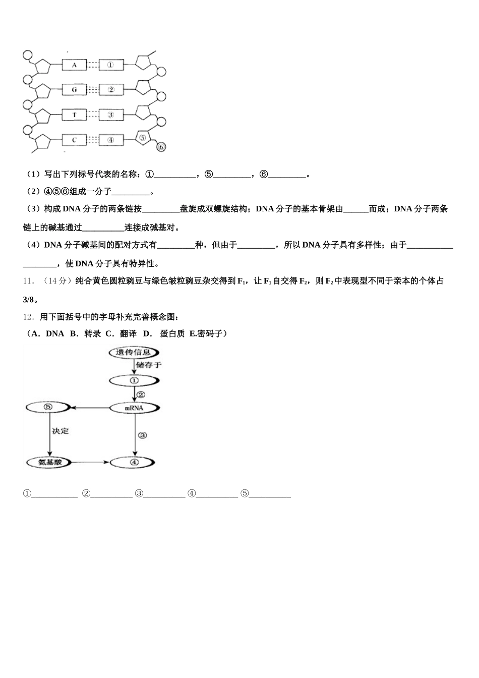 安徽滁州市来安县来安三中2025届高一生物第二学期期末复习检测模拟试题含解析_第3页