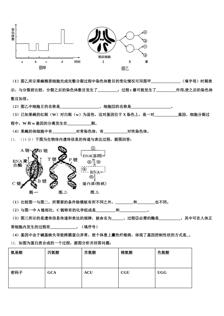 2025届安徽省 马鞍山中加双语学校高一生物第二学期期末综合测试模拟试题含解析_第3页