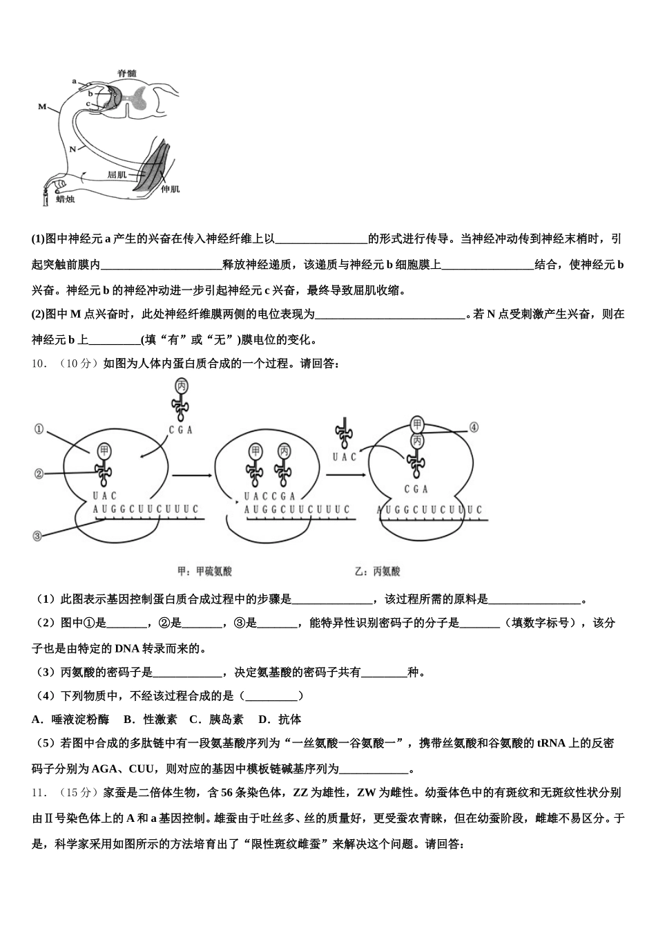 2025届安徽省泗县巩沟中学高一生物第二学期期末调研模拟试题含解析_第3页