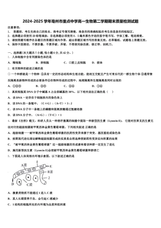 2024-2025学年亳州市重点中学高一生物第二学期期末质量检测试题含解析