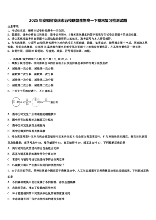 2025年安徽省安庆市五校联盟生物高一下期末复习检测试题含解析