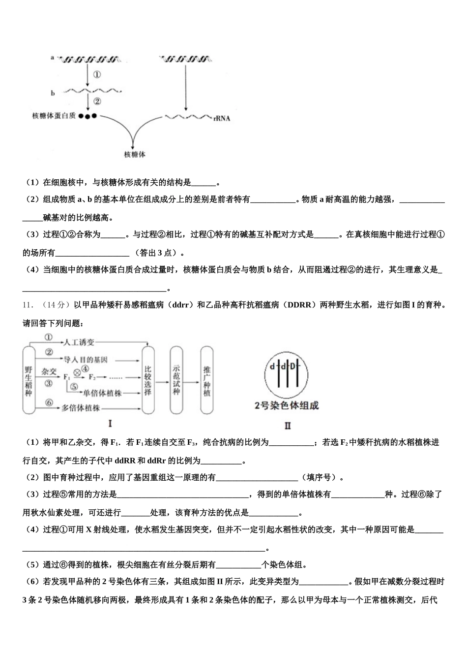 2025年安徽省合肥市七中、合肥十中生物高一第二学期期末学业质量监测模拟试题含解析_第3页