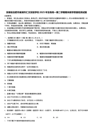 安徽省合肥市巢湖市汇文实验学校2025年生物高一第二学期期末教学质量检测试题含解析