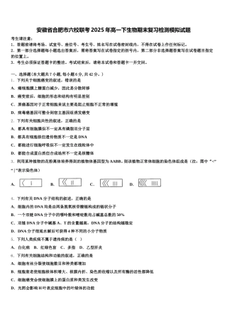 安徽省合肥市六校联考2025年高一下生物期末复习检测模拟试题含解析