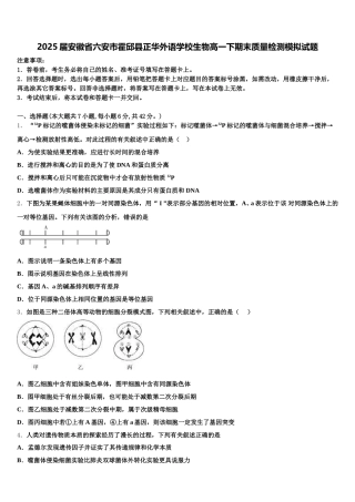 2025届安徽省六安市霍邱县正华外语学校生物高一下期末质量检测模拟试题含解析