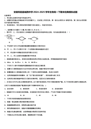 安徽凤阳县城西中学2024-2025学年生物高一下期末经典模拟试题含解析