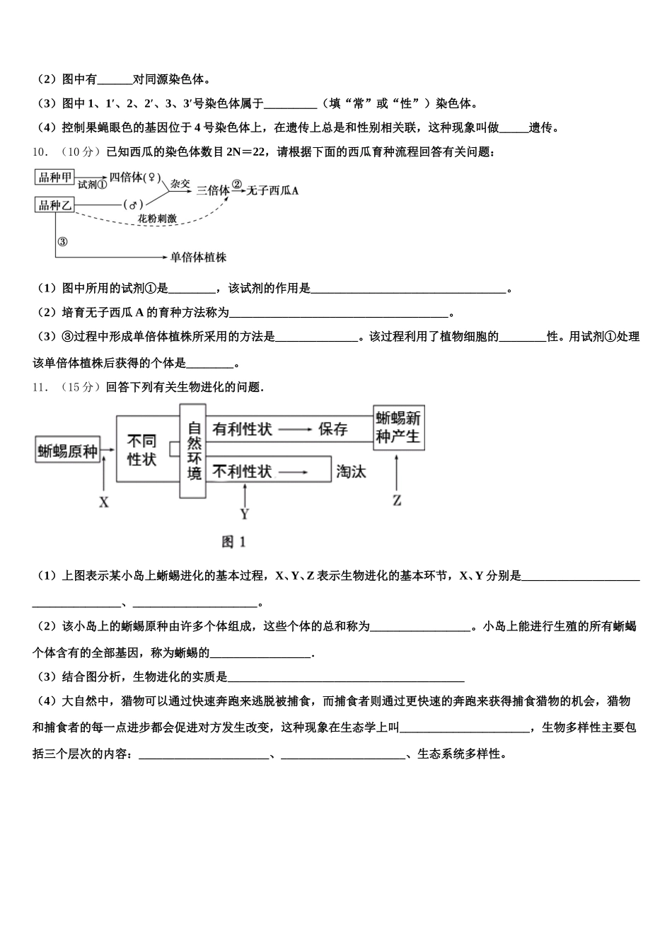 2024-2025学年安徽省天长中学生物高一下期末经典模拟试题含解析_第3页