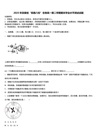 2025年安徽省“皖南八校”生物高一第二学期期末学业水平测试试题含解析
