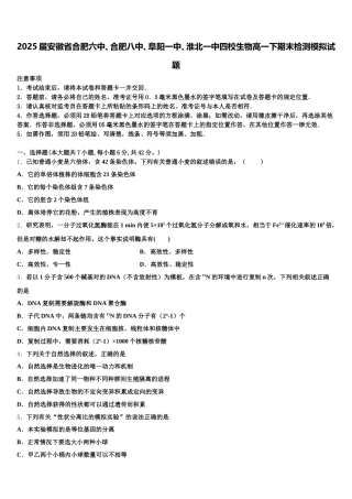 2025届安徽省合肥六中、合肥八中、阜阳一中、淮北一中四校生物高一下期末检测模拟试题含解析