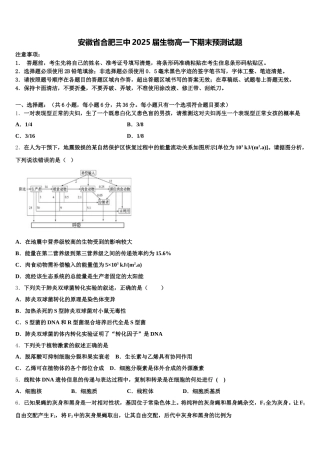 安徽省合肥三中2025届生物高一下期末预测试题含解析