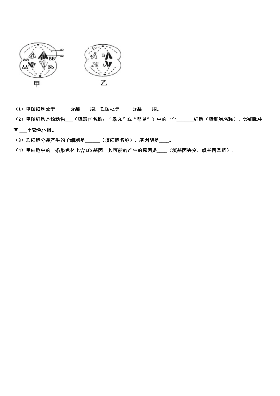 安徽省合肥市庐阳区合肥六中、合肥八中、阜阳一中、淮北一中四校2024-2025学年高一生物第二学期期末复习检测模拟试题含解析_第3页
