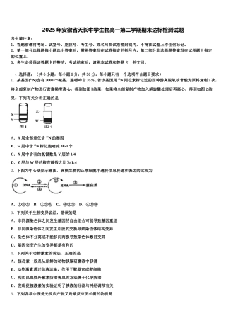2025年安徽省天长中学生物高一第二学期期末达标检测试题含解析