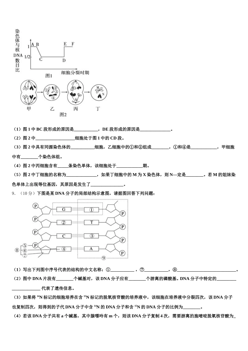 2025届安徽省肥东县二中生物高一下期末学业水平测试试题含解析_第3页
