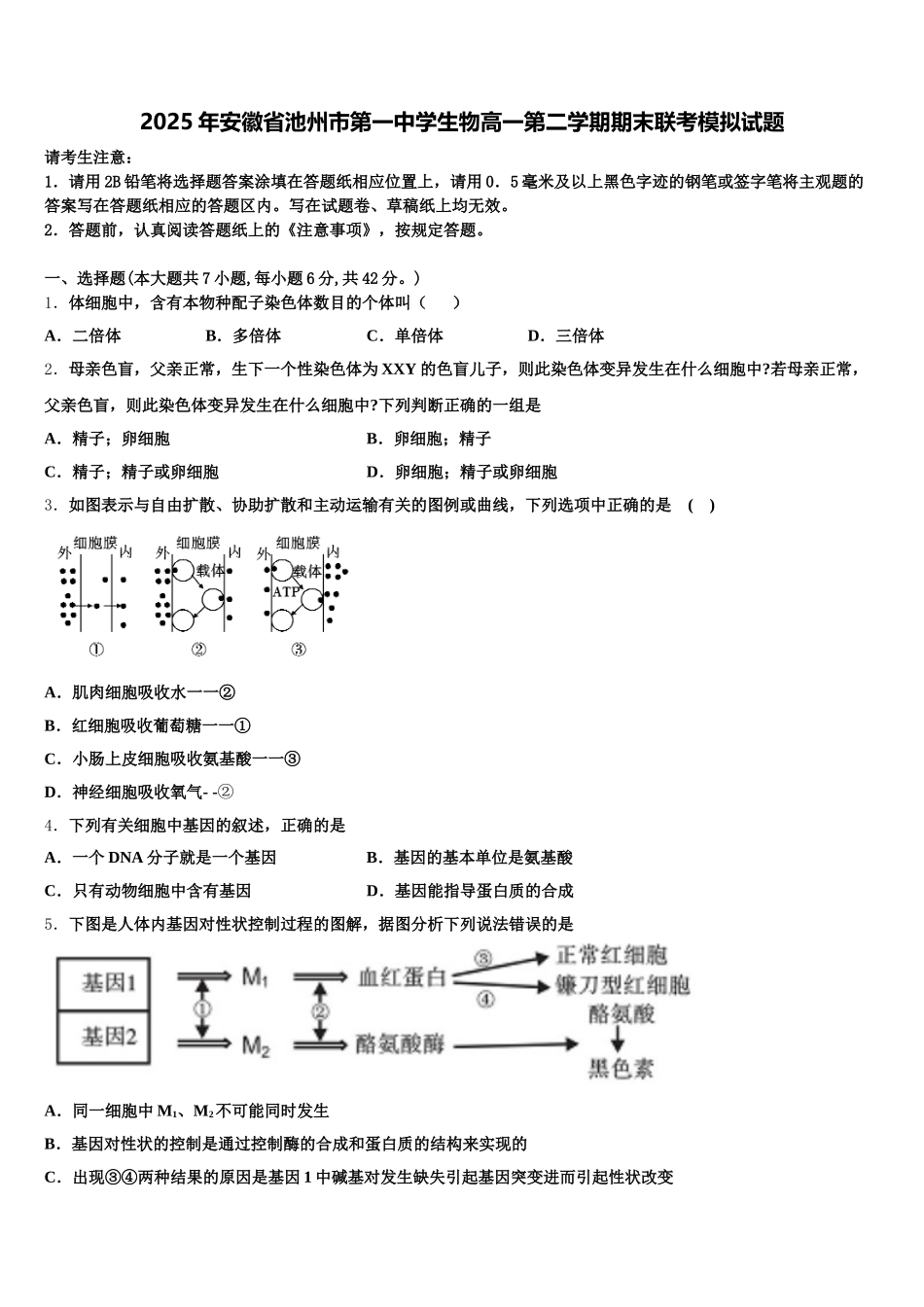 2025年安徽省池州市第一中学生物高一第二学期期末联考模拟试题含解析_第1页