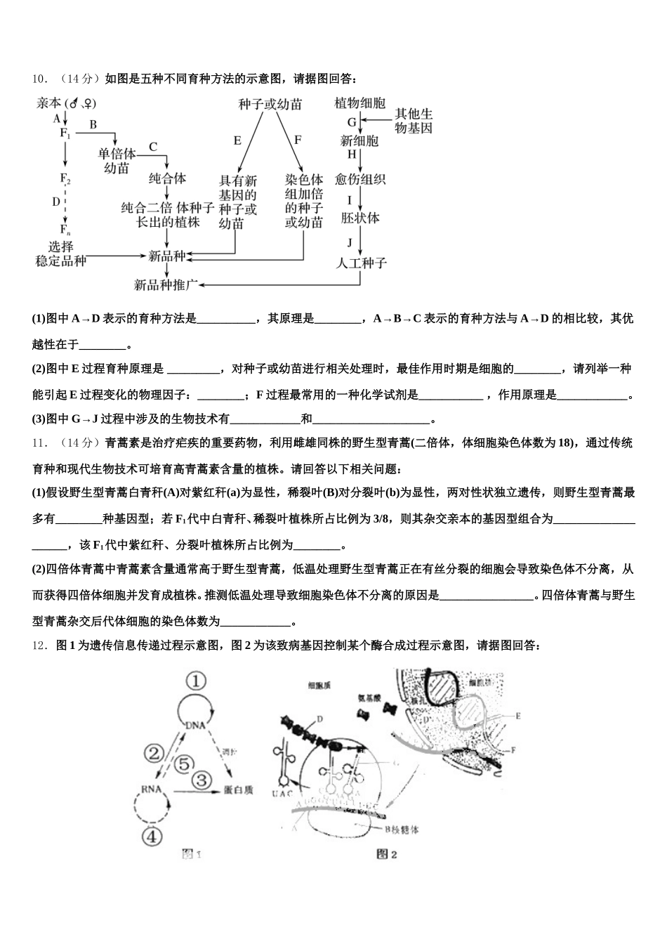 2025年安徽省淮北市相山区师范大学附属实验中学高一下生物期末调研模拟试题含解析_第3页