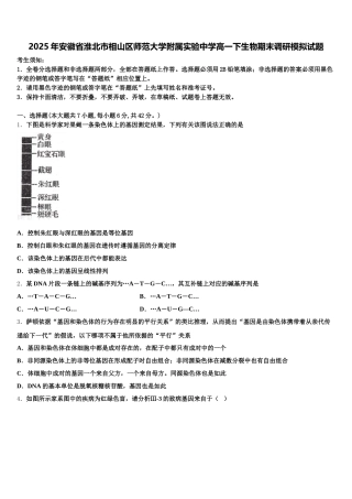 2025年安徽省淮北市相山区师范大学附属实验中学高一下生物期末调研模拟试题含解析