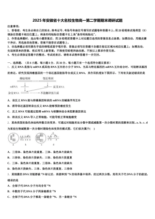 2025年安徽省十大名校生物高一第二学期期末调研试题含解析