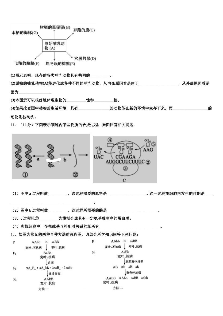 安徽省安师大附中2025年生物高一第二学期期末学业质量监测模拟试题含解析_第3页