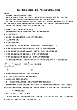 2025年安徽省淮南一中高一下生物期末质量检测试题含解析