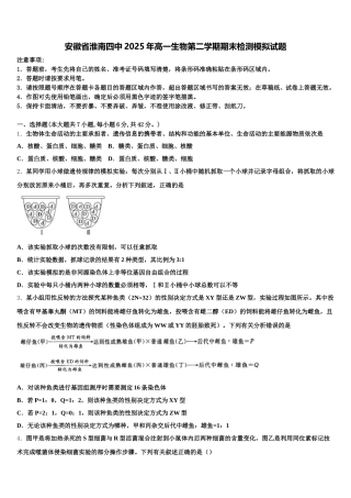 安徽省淮南四中2025年高一生物第二学期期末检测模拟试题含解析