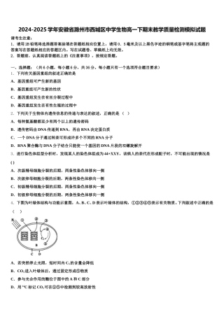 2024-2025学年安徽省滁州市西城区中学生物高一下期末教学质量检测模拟试题含解析