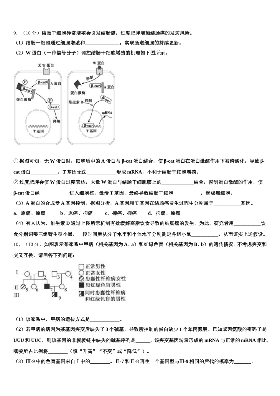 安徽滁州市来安县来安三中2025届高一生物第二学期期末综合测试模拟试题含解析_第3页