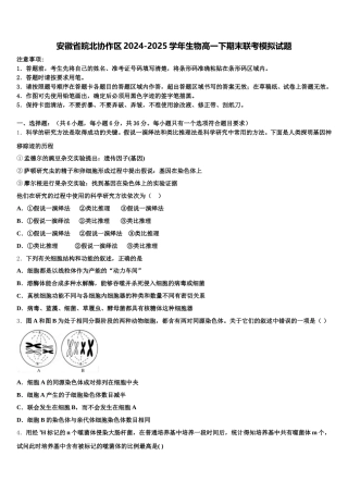 安徽省皖北协作区2024-2025学年生物高一下期末联考模拟试题含解析
