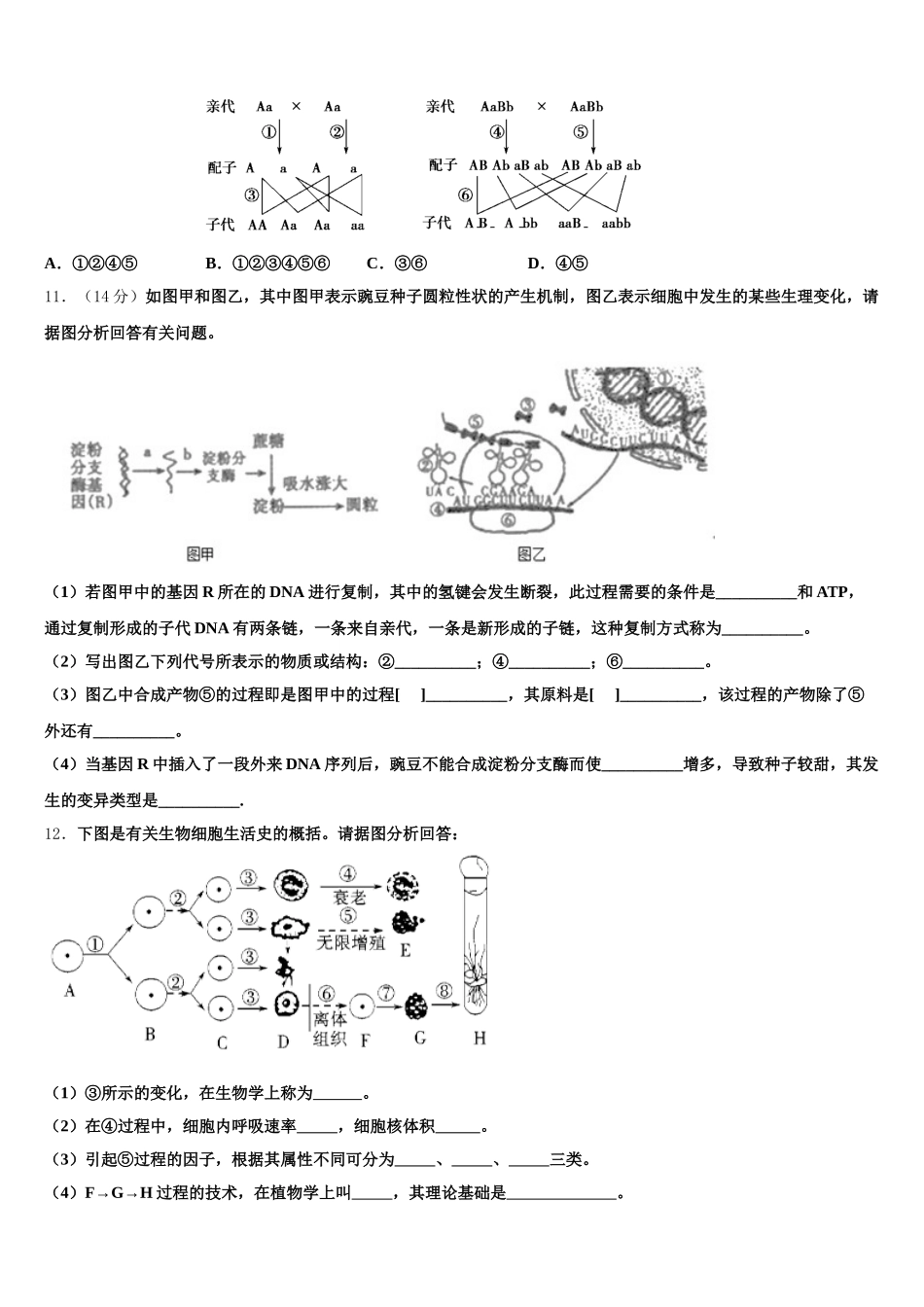 2025年安徽省阜阳市颍州区第三中学生物高一下期末复习检测试题含解析_第3页