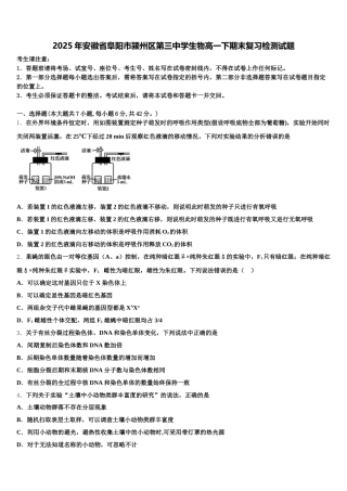2025年安徽省阜阳市颍州区第三中学生物高一下期末复习检测试题含解析