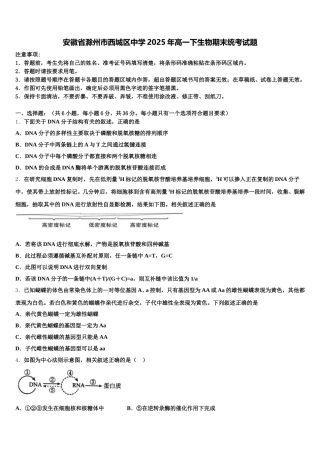 安徽省滁州市西城区中学2025年高一下生物期末统考试题含解析