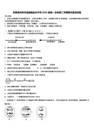 安徽亳州利辛县阚疃金石中学2025届高一生物第二学期期末监测试题含解析