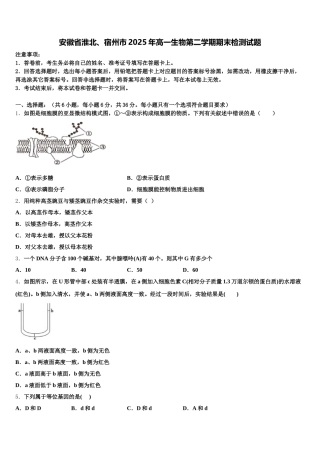 安徽省淮北、宿州市2025年高一生物第二学期期末检测试题含解析