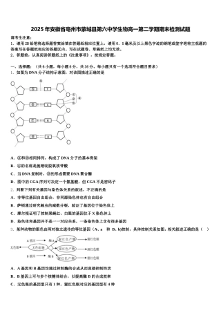 2025年安徽省亳州市蒙城县第六中学生物高一第二学期期末检测试题含解析