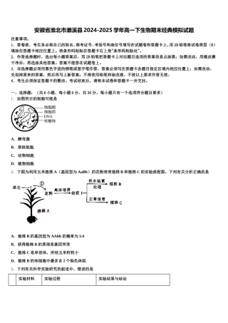 安徽省淮北市濉溪县2024-2025学年高一下生物期末经典模拟试题含解析
