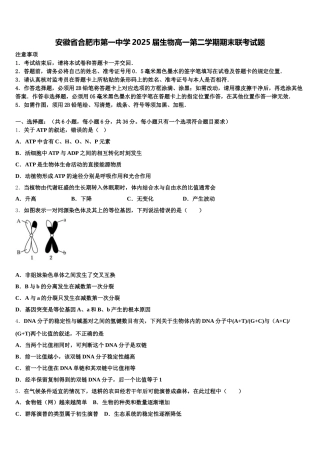 安徽省合肥市第一中学2025届生物高一第二学期期末联考试题含解析