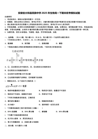 安徽省太和县民族中学2025年生物高一下期末统考模拟试题含解析