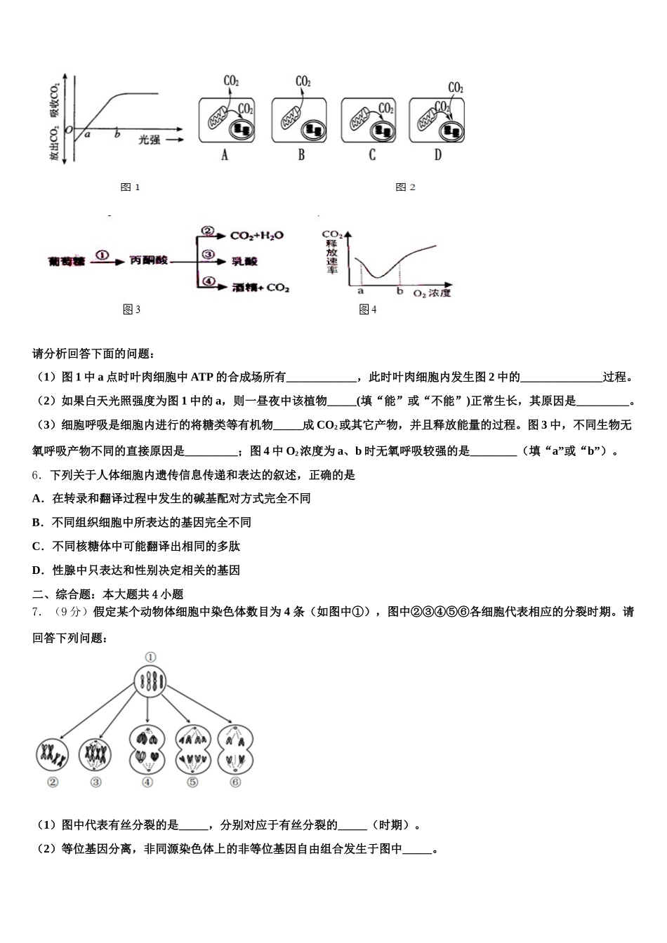 2025年安徽省涡阳县第一中学生物高一下期末质量检测试题含解析_第2页
