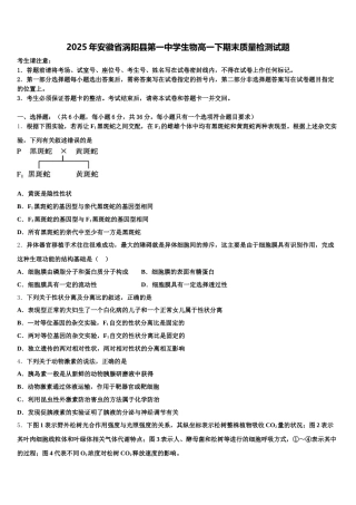 2025年安徽省涡阳县第一中学生物高一下期末质量检测试题含解析