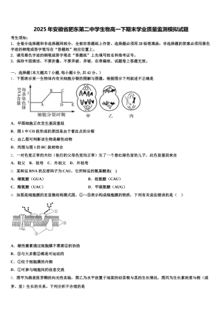 2025年安徽省肥东第二中学生物高一下期末学业质量监测模拟试题含解析