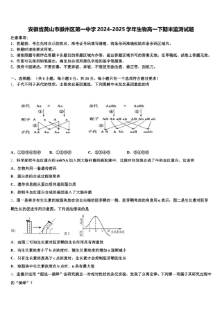 安徽省黄山市徽州区第一中学2024-2025学年生物高一下期末监测试题含解析