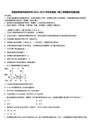 安徽省阜阳市成效中学2024-2025学年生物高一第二学期期末经典试题含解析